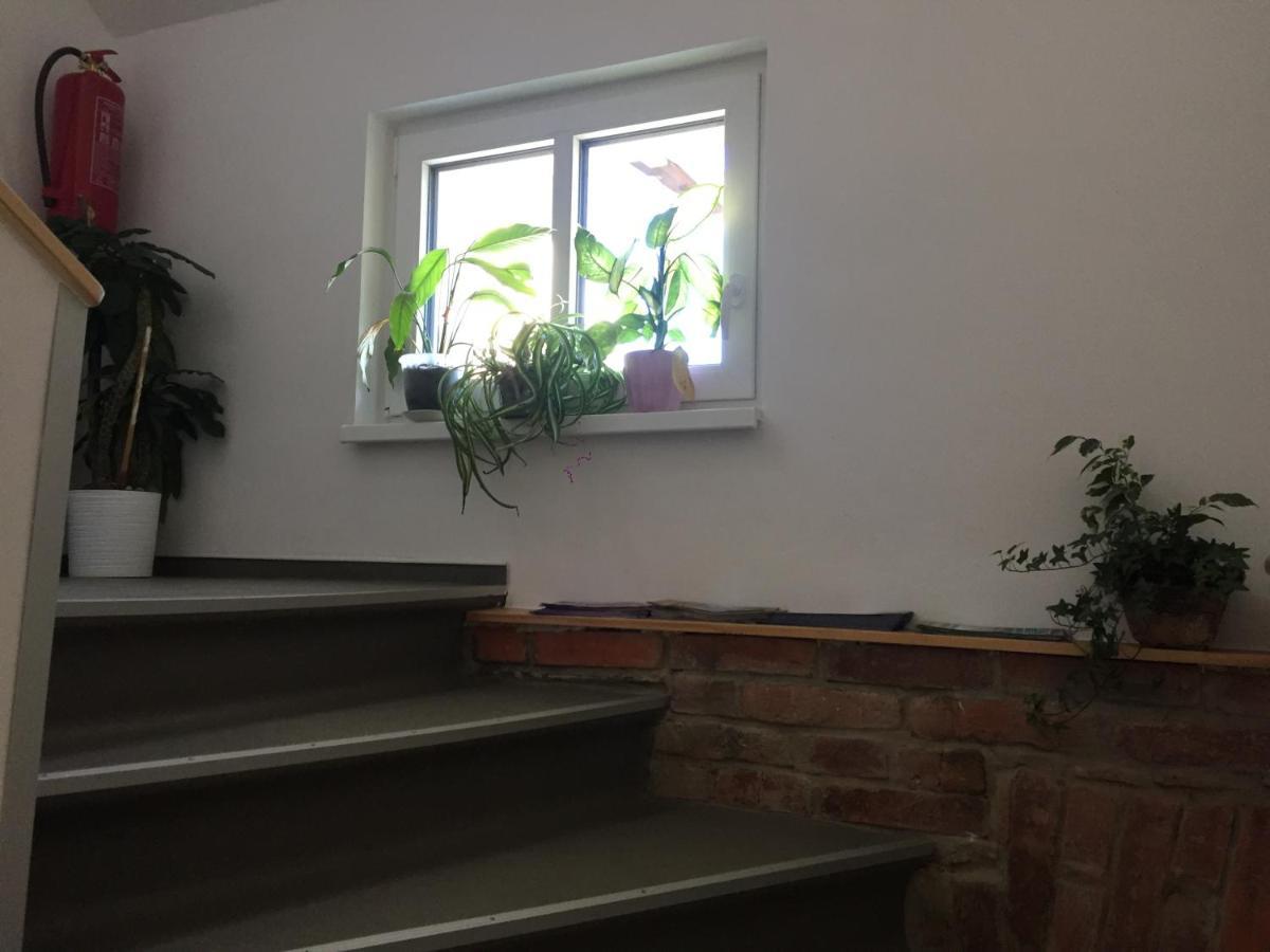 Penzion U Lastuvku Šluknov 外观 照片